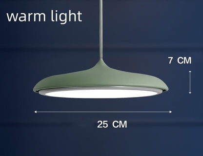 Nordic Modern Simple LED Chandelier Restaurant Chandelier Designer Chandelier