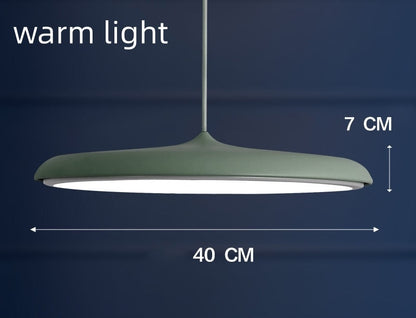 Nordic Modern Simple LED Chandelier Restaurant Chandelier Designer Chandelier