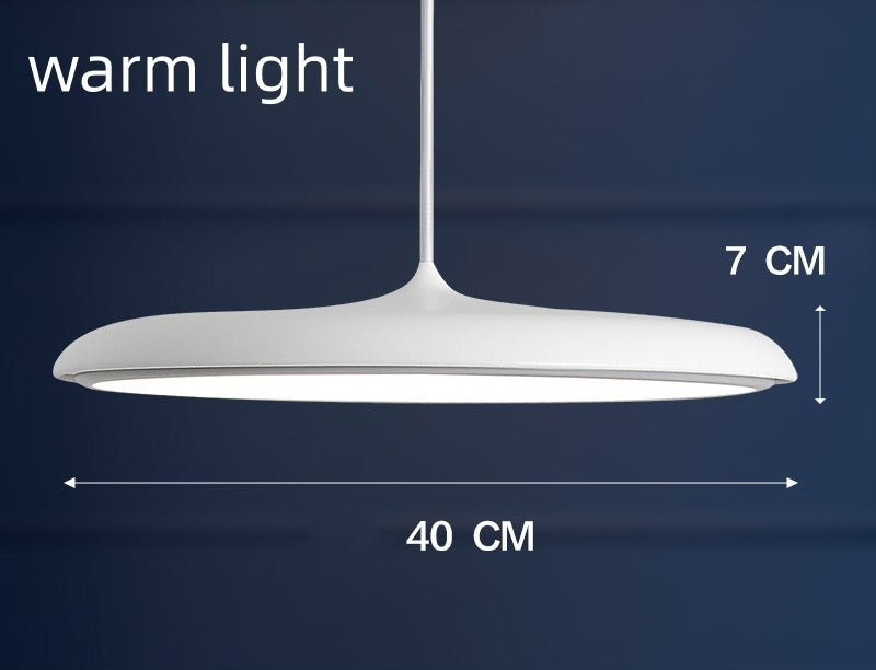 Nordic Modern Simple LED Chandelier Restaurant Chandelier Designer Chandelier