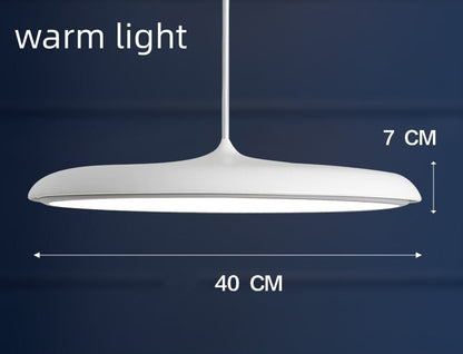 Nordic Modern Simple LED Chandelier Restaurant Chandelier Designer Chandelier