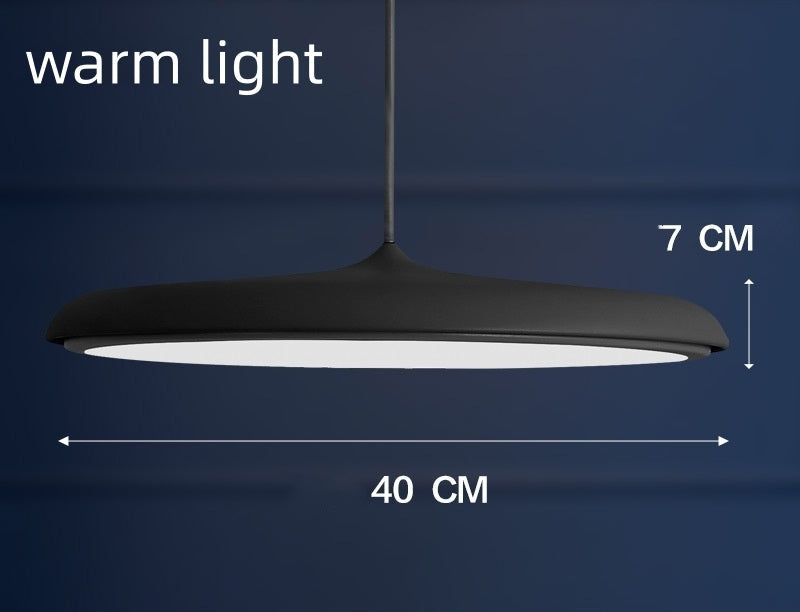 Nordic Modern Simple LED Chandelier Restaurant Chandelier Designer Chandelier