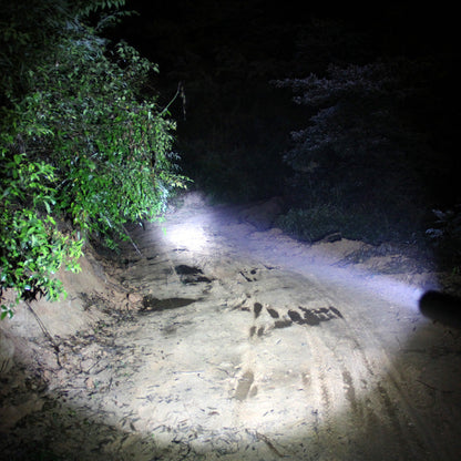 Flashlight with defensive baseball bat