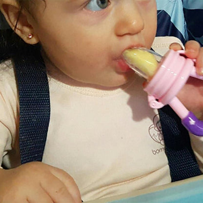 Baby Fruit Feeder Pacifier & Infant Nipple Soother