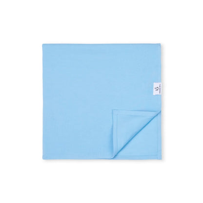 Bamboo Swaddle Blankets in Blue Bell