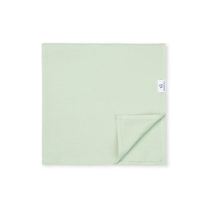 Bamboo Swaddle Blankets in Sage Green
