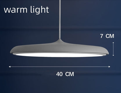 Nordic Modern Simple LED Chandelier Restaurant Chandelier Designer Chandelier
