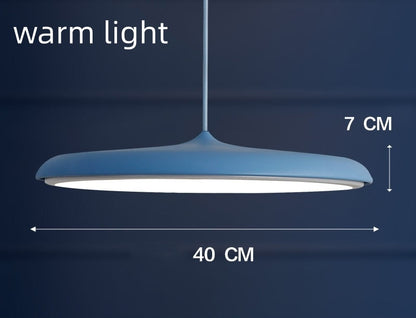 Nordic Modern Simple LED Chandelier Restaurant Chandelier Designer Chandelier