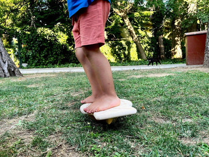 Maze Wooden Balance Board-2